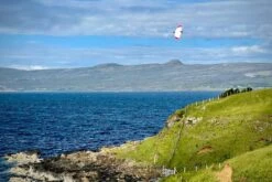 Dream-Flight Weasel-Trek 90cm -RC Gear Direct dream flight weasel trek 90cm 20