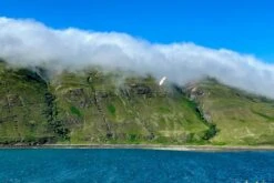 Dream-Flight Weasel-Trek 90cm -RC Gear Direct dream flight weasel trek 90cm 30