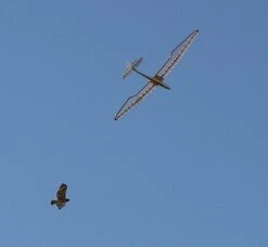 Micro Bird Of Time 1.2m -RC Gear Direct micro bird of time 1 2m 45